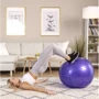 Мяч для фитнеса Hop-Sport 65 cм HS-R065GB purple + насос фото 6