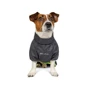 Комбинезон для собак малых пород Pet Fashion RAIN M2 серый: Тип Комбинезоны