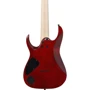 Электрогитара Ibanez RGA742FM TGF: Тип крепления грифа Болтовой
