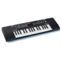 Синтезатор Alesis Harmony 32: Тип Розважальні