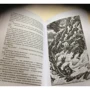 Эрин Хантер: Коты-воители. Гроза Ежевичной Звезды. Бедствие: Производитель Абрис Олма