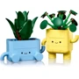 Конструктор LEGO Botanicals Щасливі рослини (10349): Кількість деталей, шт. 217