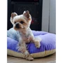 Лежак-подушка Lucky Pet Зефир №1 для собак фиолетово-кремовый 40х50 см (218137): Тип Лежак