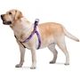 Шлея WAUDOG Nylon с QR-паспортом, рисунок "Фиолетовый камо" 15 мм 40-55 см разноцветный (5001) фото 2