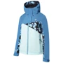 Горнолыжная куртка Dare 2b Determined Jacket DWP508-DDL 40 синяя зимняя с капюшоном фото 6