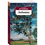 Василь Шукшин. Любавини: Жанр класика