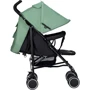 Коляска FreeON Simple Black-Green (48563): Количество блоков 1