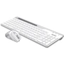 Комплект бездротовий A4Tech FB2535C lcy White: інтерфейс підключення Bluetooth