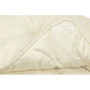 Ковдра Sonex Basic Gold 140х205 см + подушка 50х70 см (SO102372): Матеріал чохла микрофибра