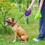 Поводок-рулетка для собак WAUDOG R-leash с контейнером для пакетов L фиолетовый до 40 кг 5 м (26299) фото 6