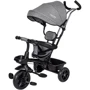 Трехколесный велосипед FreeON Free2Move Sport Black Grey (44169): Рекомендуемый возраст от 1 года