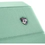 Чемодан Heys Neo (L) Mint мятный (10134-0072-30)/(10134-0072-S3): Материал Пластик