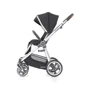 Візок BabyStyle Oyster 3 Caviar: Тип коляски прогулочная