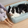 Лежак для тварин Petkit FOUR SEASON PET BED розмір M (P7110) фото 7