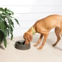 Поилка PetSafe Drinkwell Current для собак и котов автоматический фонтан 3.5 л коричневый (57830): Материал Пластик