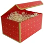 Подарочная коробка красная с золотым геометрическим рисунком, L — 25,3×18×13,5 см