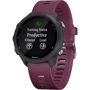 Смарт-годинник Garmin Forerunner 245 Berry (010-02120-11 / 01)