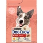 Сухой корм Dog Chow Active Adult 1+ для собак с повышенной активностью с курицей 2.5кг (12493230)