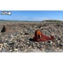Сборная 3D модель Eugy Зоопарк: Морж (XEG-107)