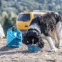 Миска Kurgo Mash&Stash Collapsible Dog Bowl для собак складає синя L 1.3 л (57849): Матеріал Металл, Силикон