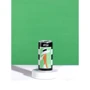 Напиток газированный Artisan Amalfi Lime Tonic Can, ж/б, 0.2л (9353606010340): Страна производитель Великобритания