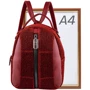 Жіночий рюкзак Valiria Fashion червоний (3DET319-1): Стиль Повсякденний (Casual)