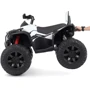 Детский электроквадроцикл Bambi Racer M 4795EBLR-1 до 30 кг: Вес, кг 22