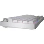 Клавіатура Hator Rockfall 2 Mecha TKL Authentic Edition Aurum Milky Way Silent USB White (HTK-531): Кількість клавіш 87