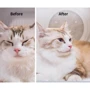Сушіння Petkit AIRSALON Max PRO (PD10-PRO) фото 7