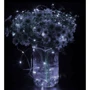 Гирлянда на батарейках Springos 0.9 м 10 LED CL0002 Cold White: Количество ламп 10