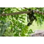 Сучкорез акумуляторный Ryobi ONE+ OLP1832BX без АКБ и ЗУ (5133004392): Вес, кг 1.9