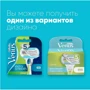 Gillette Venus Embrace Сменные касеты для бритья для женщин 8 шт фото 5