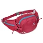 Сумка Deuter Pulse 3 цвет 5000 cranberry (3935219 5000): Материал Материал: нейлон 100D PA Ripstop