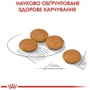 Сухий корм Royal Canin Mini Dermacomfort для собак з чутливою шкірою, схильною до подразнень 3 кг (2441030): Основні інгредієнти Рис