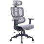Офісне крісло OfficePro Skyline (OC680-B-G-G)