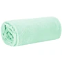 Плед Springos Extra Soft 130x180 см мятный (HA7133): Цвет зеленый