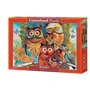 Пазлы Castorland 2000 Совы художника С-200535: Производитель CASTORLAND