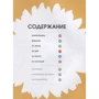 Софі Коллінз: Ван Гог. Біографія в інфографіку: Обкладинка Твердая