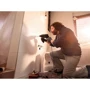 Дриль Bosch UniversalImpact 700 (0603131020) БЗП: Призначення побутової