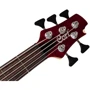 Бас-гитара CORT A5 Plus FMMH (Open Pore Black Cherry): Количество струн 5