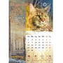 Коти-вояки. Календар 2021: Обложка Мягкая