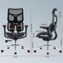 Офисное кресло Sihoo DORO S100 Mesh Black (S100-M301)
