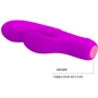 Вибратор Pretty Love Tim Purple