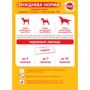 Лакомство Pedigree Rodeo с говядиной 70 г (4008429090110): Возраст Взрослые
