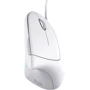 Мышь Trust Verto Ergonomic USB White (25133): Тип сенсора оптический