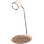 Настольная лампа Proove Modern beige (PLMD05002007): Тип Настольные лампы