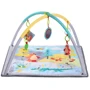 Развивающий коврик Kinderkraft Milyplay (KKZMILYPLAY000)