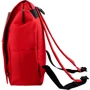 Женский рюкзак Valiria Fashion красный (3DETBI2010-1): Тип Рюкзаки