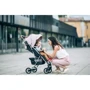 Прогулочная коляска FreeON LUX Premium Dusty Pink-Black (44688): Тип коляски Прогулочная