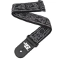Ремінь гітарний PLANET WAVES PW50JS01 Joe Satriani Guitar Strap Skull n 'Bones